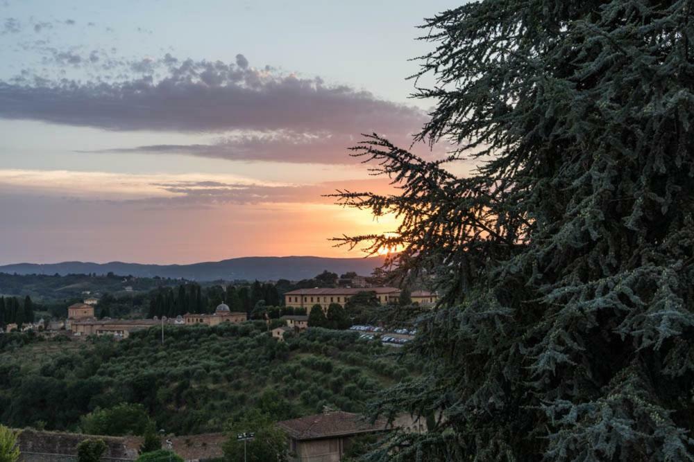Apartmán Garden House Siena Exteriér fotografie